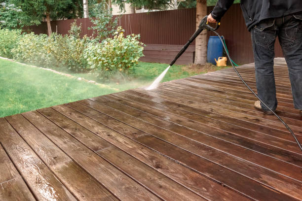 Best Driveway Pressure Washing  in Coplay, PA